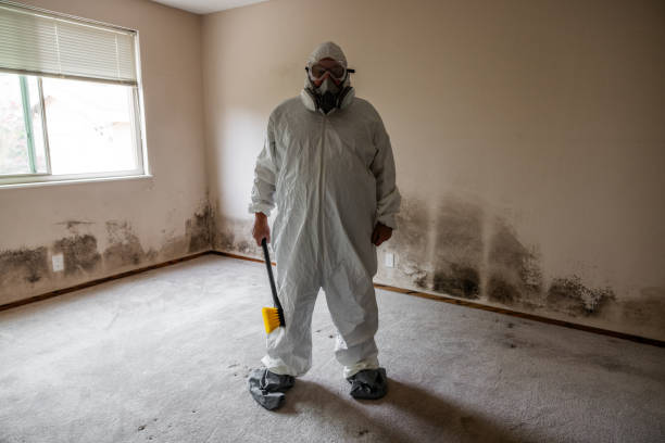 Best Residential Mold Inspection & Testing  in Tower Lakes, IL